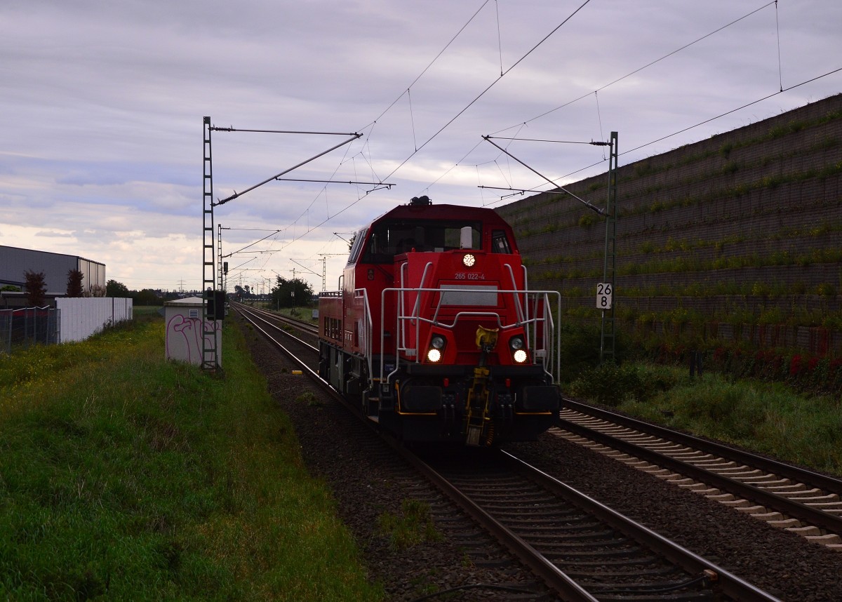 Andere Seite.....und Diesel....261 022-4 Lz aus Richtung Köln kommend in Allerheiligen. 24.9.2015