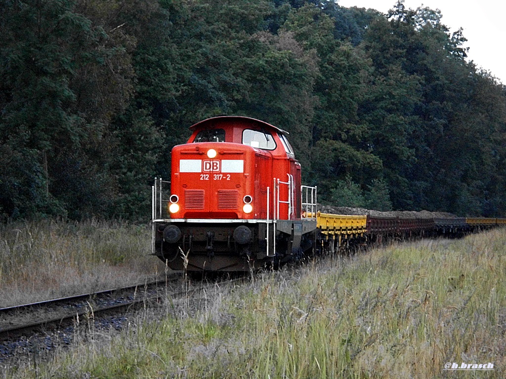 ankunft 212 317-2 mit einen ganzzug am glinder bhf,datum 22.08.14