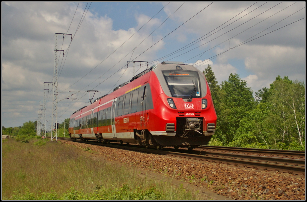 Auf Dienstfahrt befand sich DB Regio 442 136-8, als der Triebzug am 26.05.2017 durch die Berliner Wuhlheide fuhr (Standort öffentlich zugänglich)