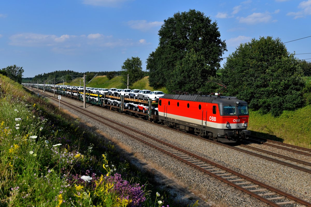 Auf dieses Foto hatte ich schon länger spekuliert. Meine Lieblingsbaureihe hatte sich in den letzten Jahren auf deutschen Schienen rar gemacht. Seit RCC diverse Leistungen im Neuwagen-Transport übernommen hat, sind einige ÖBB 1144 regelmäßig innerdeutsch unterwegs, hauptsächlich im hohen Norden. Es gibt aber auch einige Verkehre zwischen Ingolstadt und München Milbertshofen, bei denen 1144 im Wechsel mit Loks der Baureihen 2016 und 1016 zum Einsatz kommen. Am 30. Juni 2018 konnte ich die 1144.264 mit einem langen Autotransportzug beladen mit Audis bei Vierkirchen im Dachauer Hinterland ablichten. 