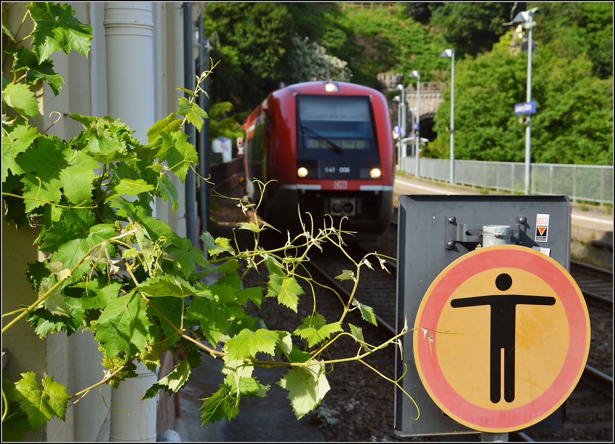 Baden und Wein gehören zusammen, da kann sich die Hochrheinbahn nicht entziehen, während im Hintergrund sich 641 006 nähert. Juni 2016.

Ersatz für ein zu klein geratenes Bild...