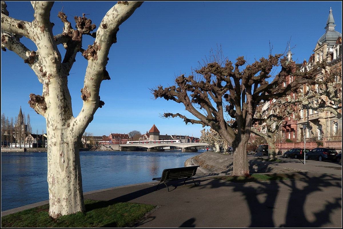 Bäume, Wasser, Stadt und Bahn -

Konstanz am Bodensee.

12.03.2019 (M)