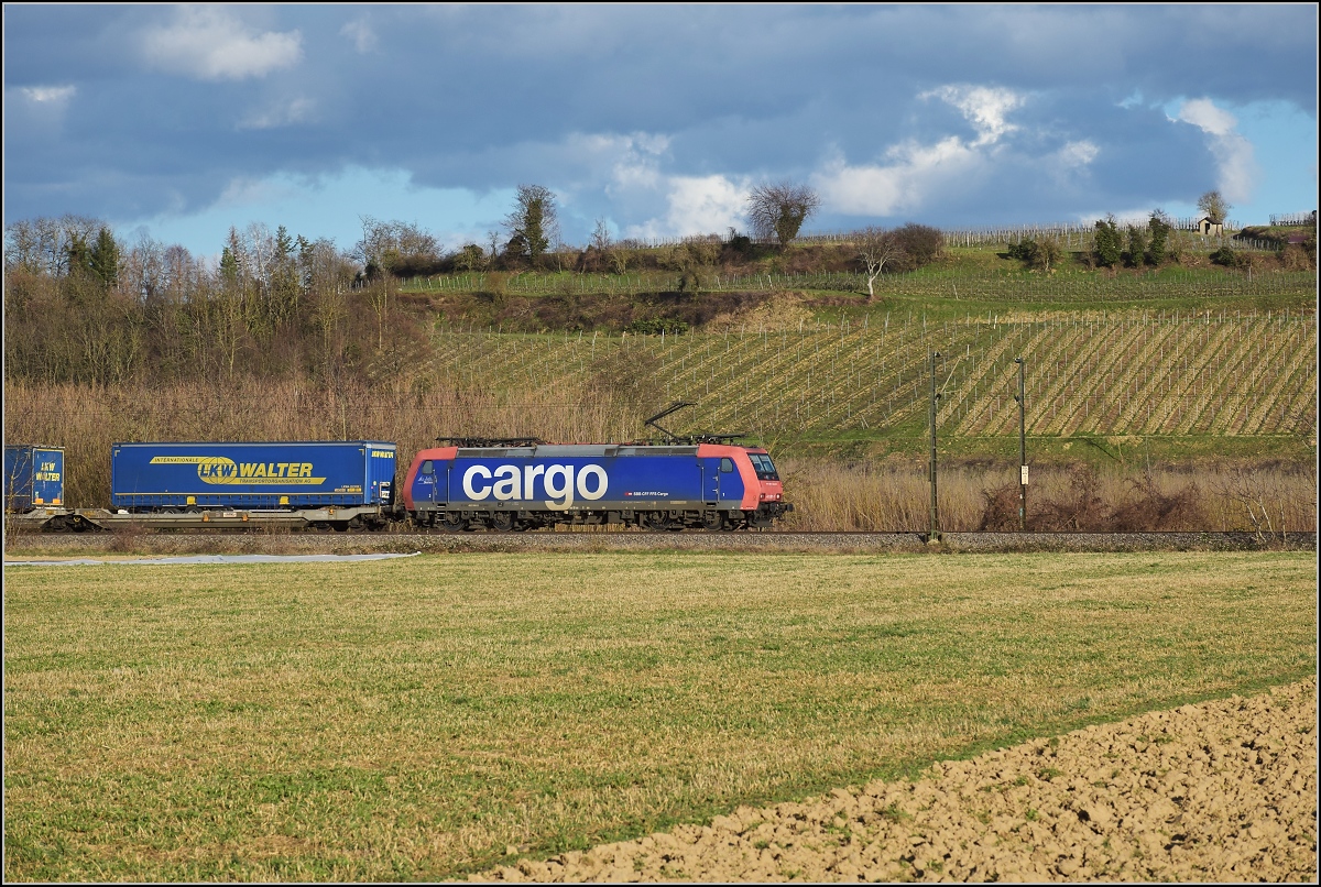 Bahn im Markgräfler Land. Re 482 008-0 mit einem Güterzug bei Buggingen. März 2019.