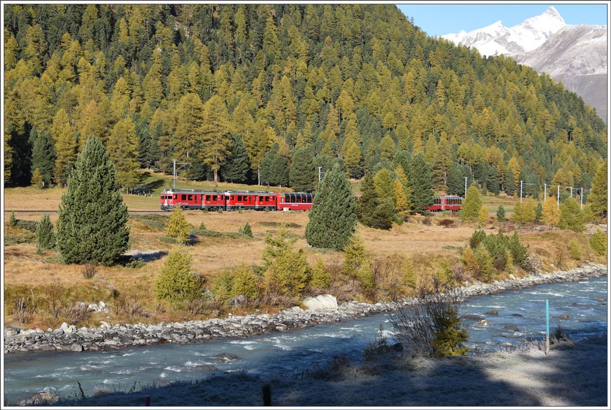 Bahnoldtimer-Wochenende im Engadin. Bernina Express 973 mit dwn beiden ABe 4/4 III 52  Brusio  und 51  Poschiavo  sind hier kurz vor Morteratsch Richtung Tirano unterwegs. (16.10.2016)