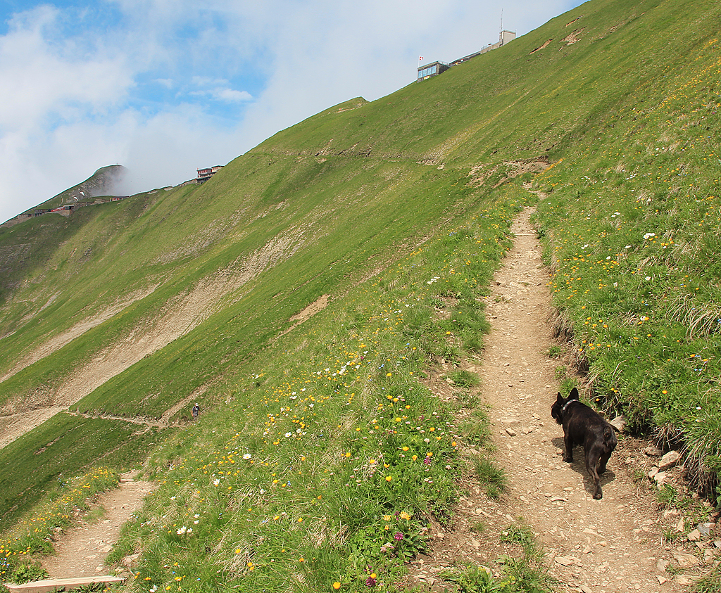 Bald sind die 900 m Höhendifferenz ab Planalp überwunden: Lea und ich werden auf Rothorn-Kulm unser verdientes Mittagessen einnehmen. Ganz links im Bild die Bahnstation der BRB.