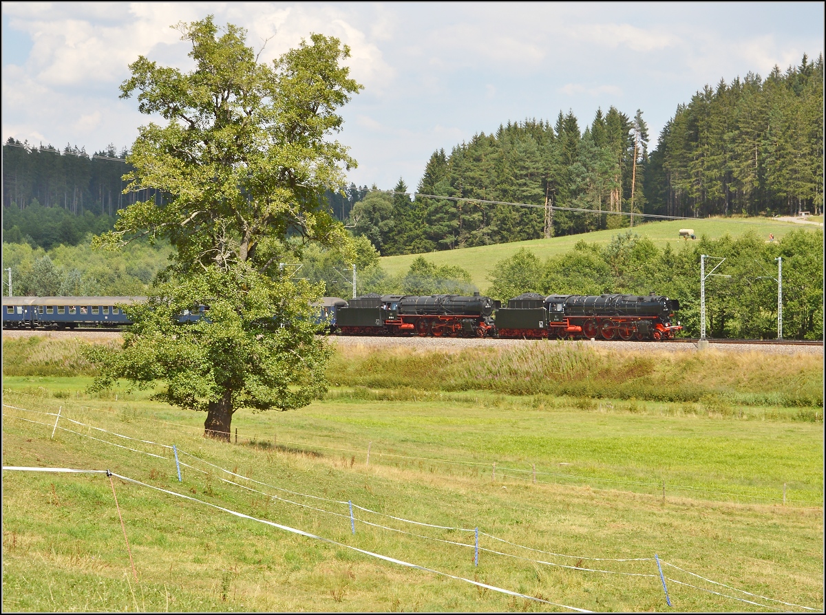 Birnbaum, 01 202 und 001 150-2 in Stockburg. August 2015.