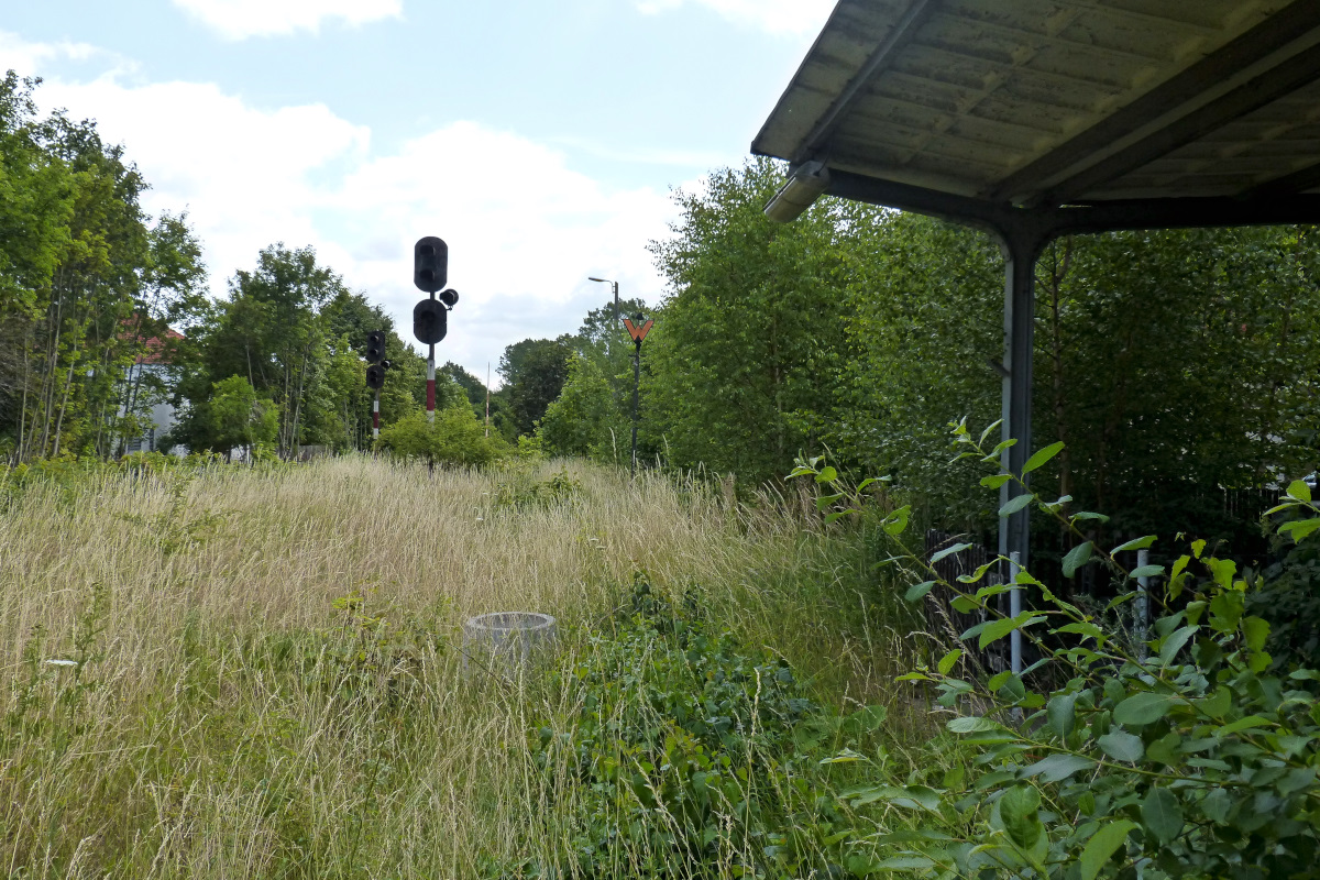 Blick von der Bahnsteigkante von Bleicherode-Stadt Richtung Bahnhof Bleicherode Ost. Seit 15 Jahren kein Bahnverkehr mehr. 15.07.2015