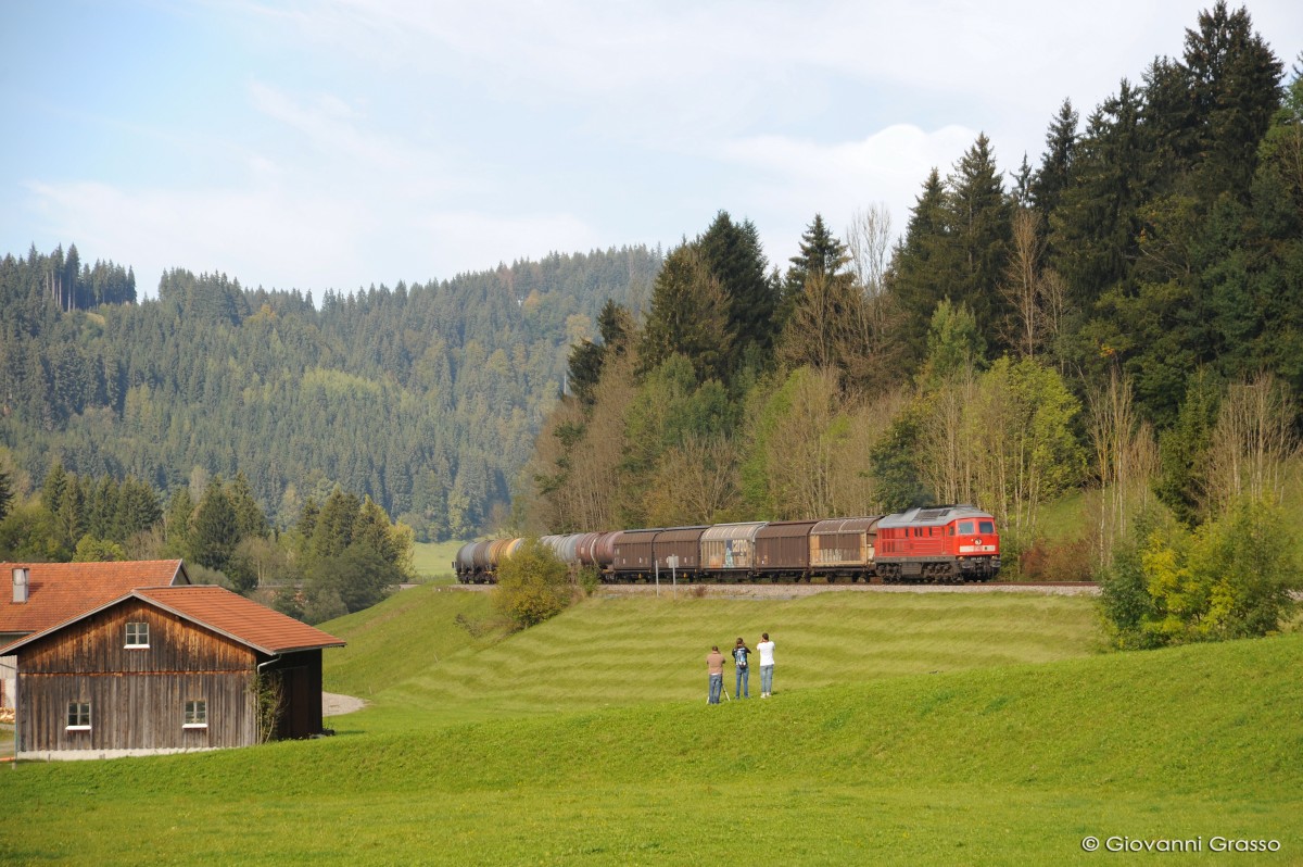 BR233 LUDMILLA DB SCHENKER - OBERTHALHOFEN 29.09.2014