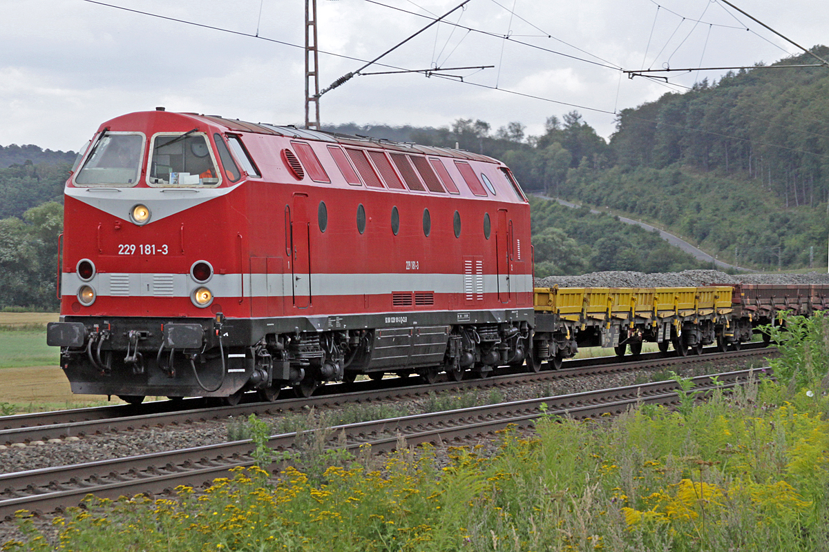 CLR 229 181-3 am 09.08.2016  13:48 nördlich von Salzderhelden am BÜ 75,1 in Richtung Göttingen