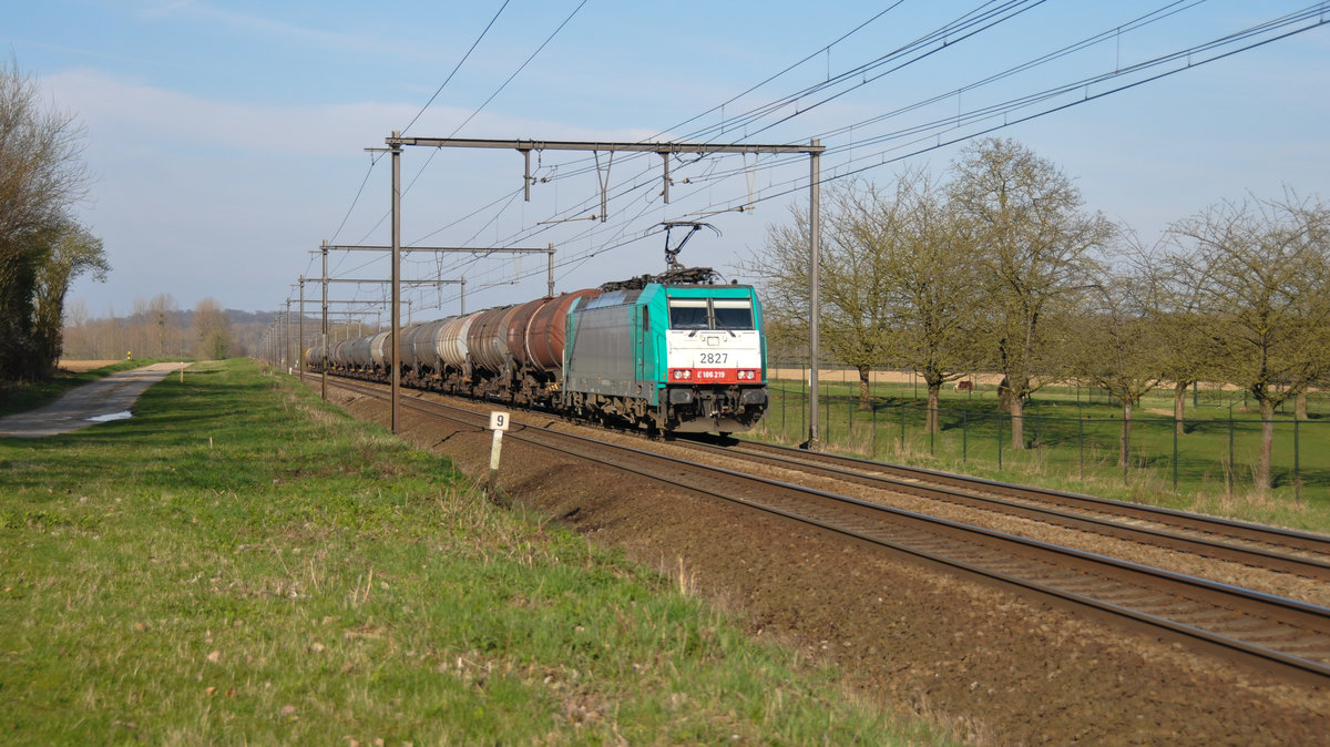 Cobra-Lok 186 219 alias 2827 mit einem relativ kurzen Kesselwagenzug auf dem Weg Richtung Aachen-West, hier aufgenommen am 23/03/2017 in s'Herenelderen.