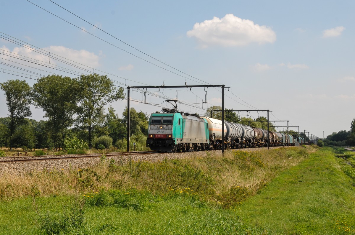 Cobra-Lok 2836 (186 228) mit einem gemischten Güterzug am 21/08/2015 bei Schulen auf der Linie 35.