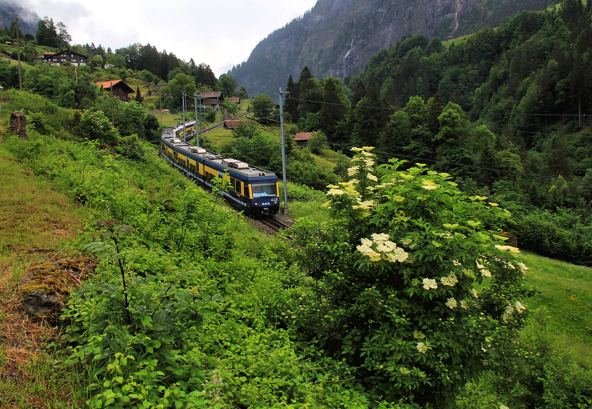 Das neue Rollmaterial der Berner Oberland Bahn: Dreiteiliger Steuerwagen 425 mit dreiteiligem Triebwagen 326 im Abstieg von Burglauenen. 29.Mai 2018 