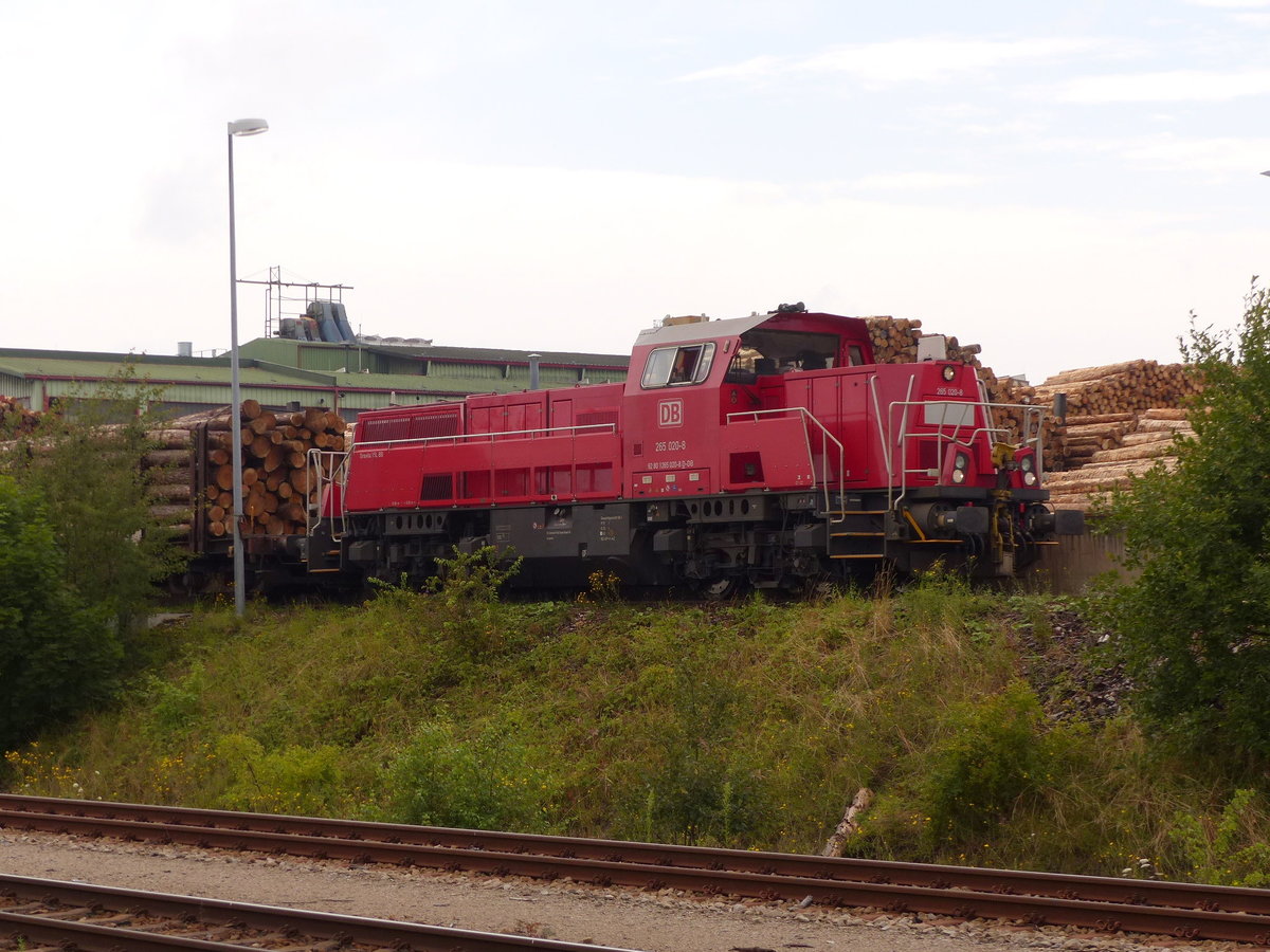 DB Cargo 265 020-8 am 03.08.2017 beim rangieren für Klausner Holz im ehemaligen Bahnhof Ebersdorf-Friesau.