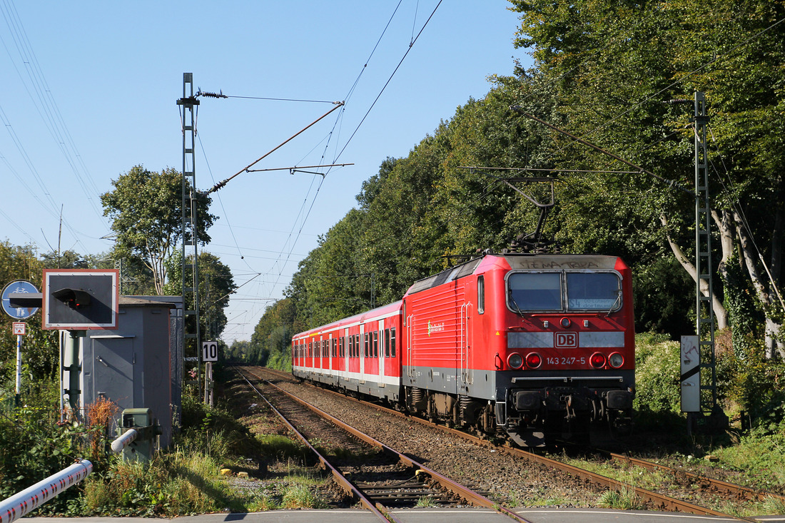 DB Regio 143 247 // Dortmund, unweit der Station Dortmund Knappschaftskrankenhaus. // 1. Oktober 2015