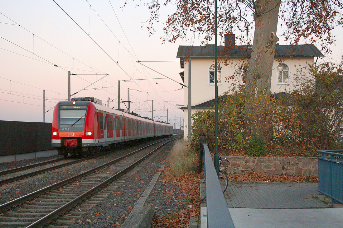 DB Regio 423 250 + 423 050 erreichen soeben den Bahnhof Buir.
Fotografiert am 16. November 2011.