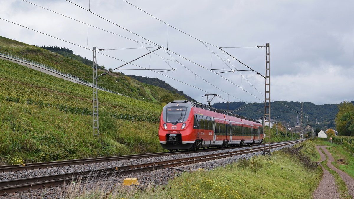 DB Regio 442 206/706 als RB 81 (12194)  Moseltalbahn  Koblenz Hbf - Trier Hbf (Pommern/Mosel, 02.l0.17). 