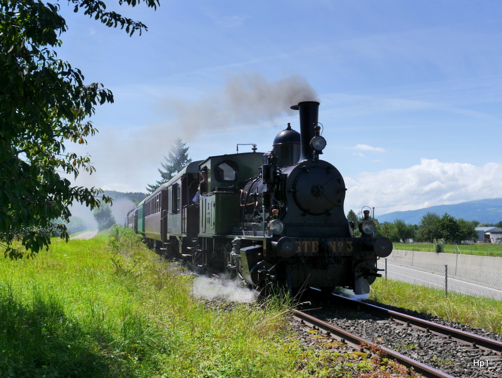 DBB - Dampfzug mit Lok Ed 3/3 3 unterwegs bei Büren an der Aare am 09.08.2014