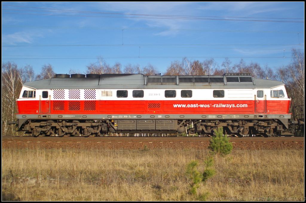 DBSRP 232 309-5 in der Seitenansicht. Die Lok zog am 20.03.2014 einen Kesselwagen-Zug durch die Berliner Wuhlheide