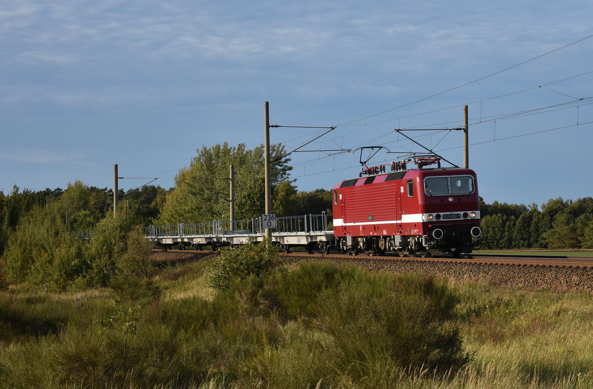 DeltaRail mit der schicken 243 650-9 / 143 650-0 und einem leeren Autozug von BLG Autorail, unterwegs in Richtung Hagenower Land. 3km östlich von Büchen, 08.10.2018.