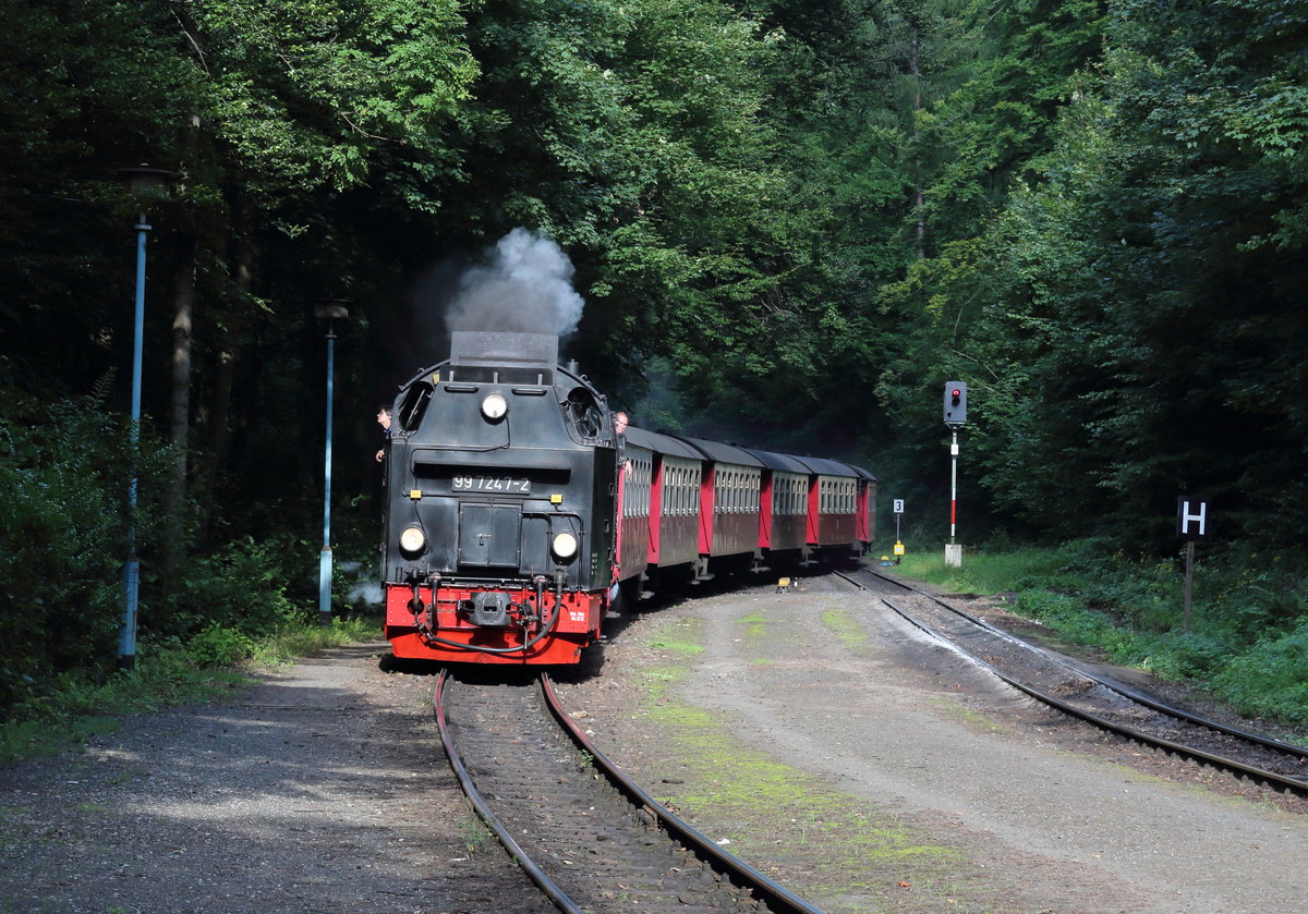 Der 18-Uhr-Zug P8924 (Brocken - Wernigerode) erreicht an einem warmen Augustabend den Bahnhof Steinerne Renne.

Steinerne Renne, 09. August 2017