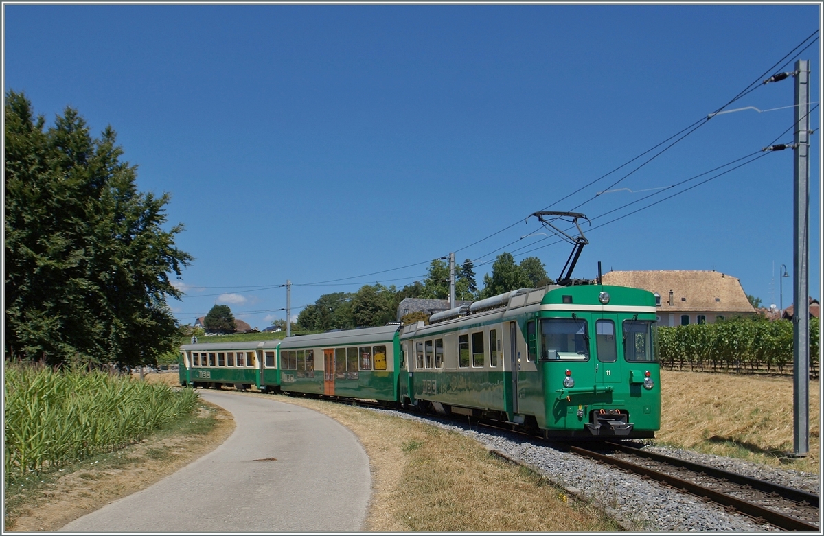 Der BAM MBC Be 4/4 11 schiebt kurz vor der Haltestelle Vufflens le Château seine Zug Richtung Bière.
21. Juli 2015  