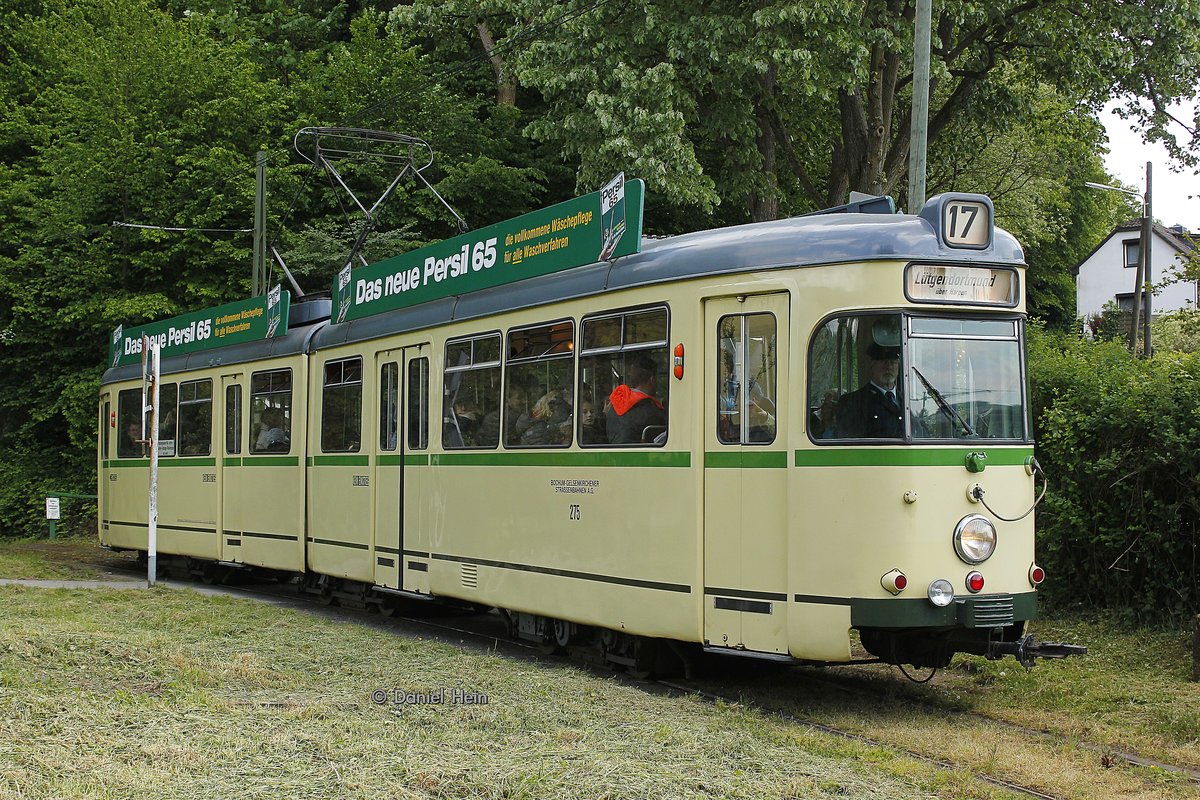Der Bochumer Triebwagen 275 an der Schulkohlfurth, am 16.05.2016.