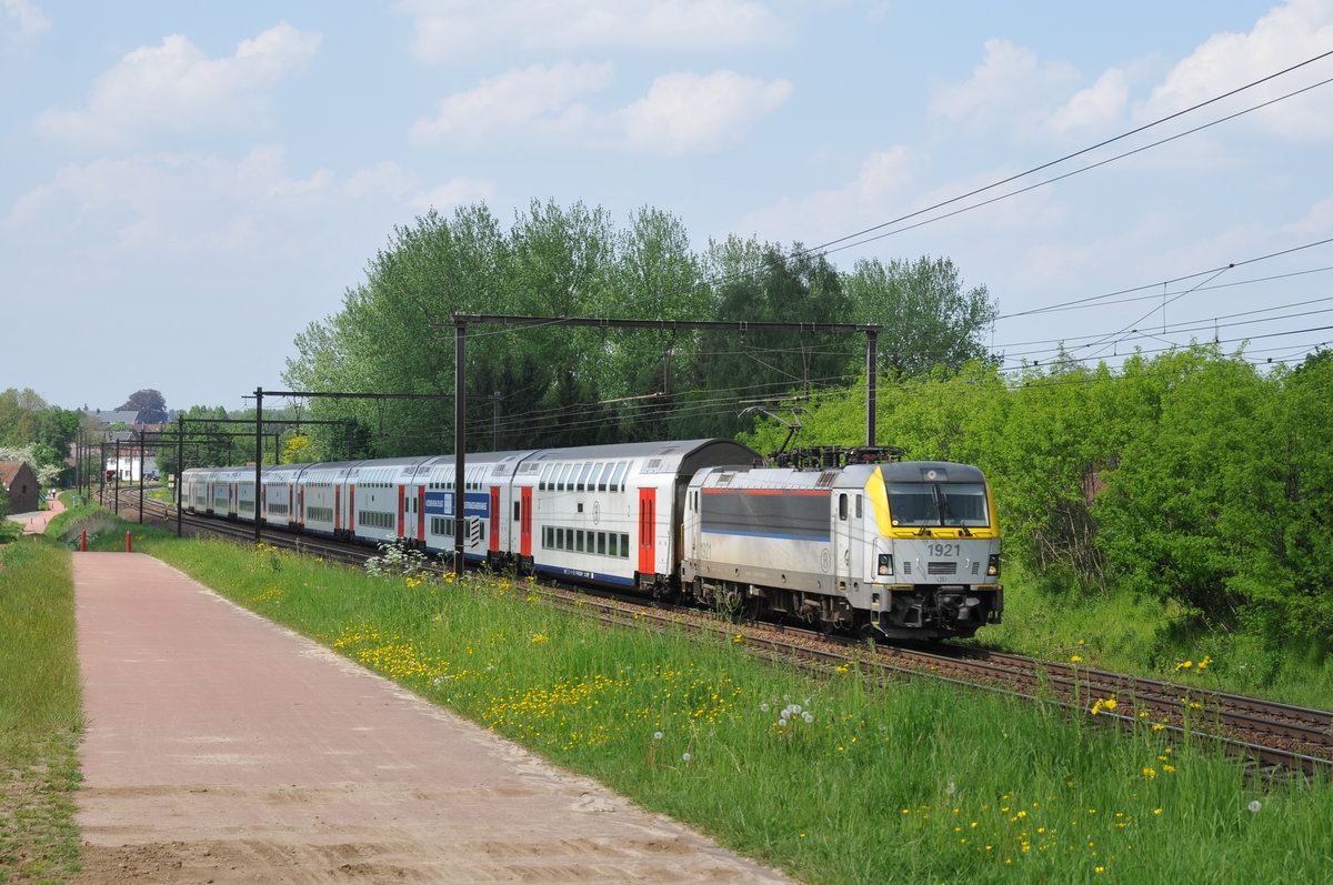 Der Siemens Euro-Sprinter 1921 der SNCB/NMBS zieht seine Doppelstockwagen Richtung Tongeren. Die Aufnahme entstand am 13/05/2016 in Hoeselt.