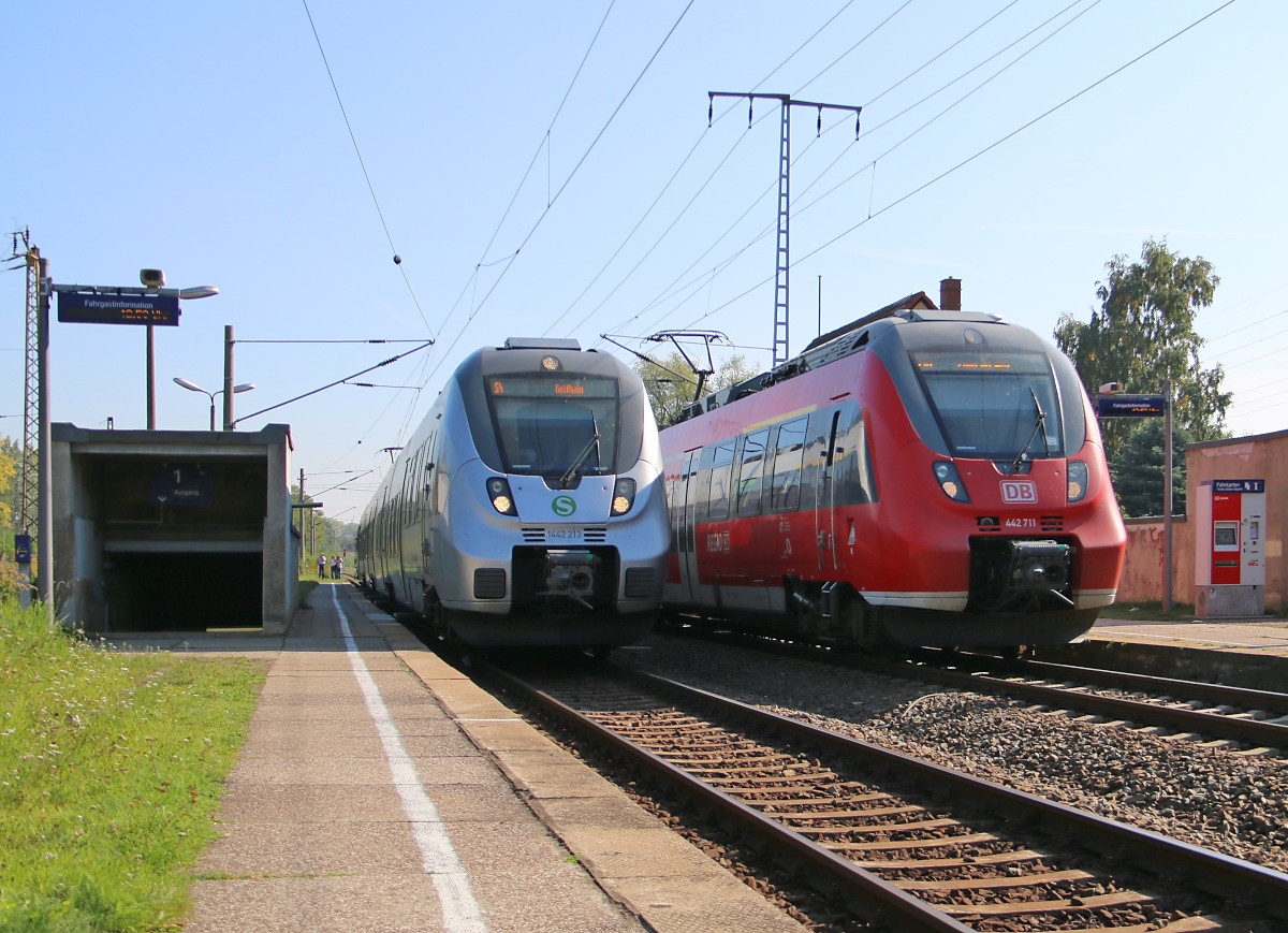 Der silberne S-Bahn Mitteldeutschland Hamster 1442 213 am Bahnsteig als S4 nach Geithain in Leipzig Thekla wartet, wird er von seinem roten Bruder 442 711 überholt. Aufgenommen am 03.10.2015.