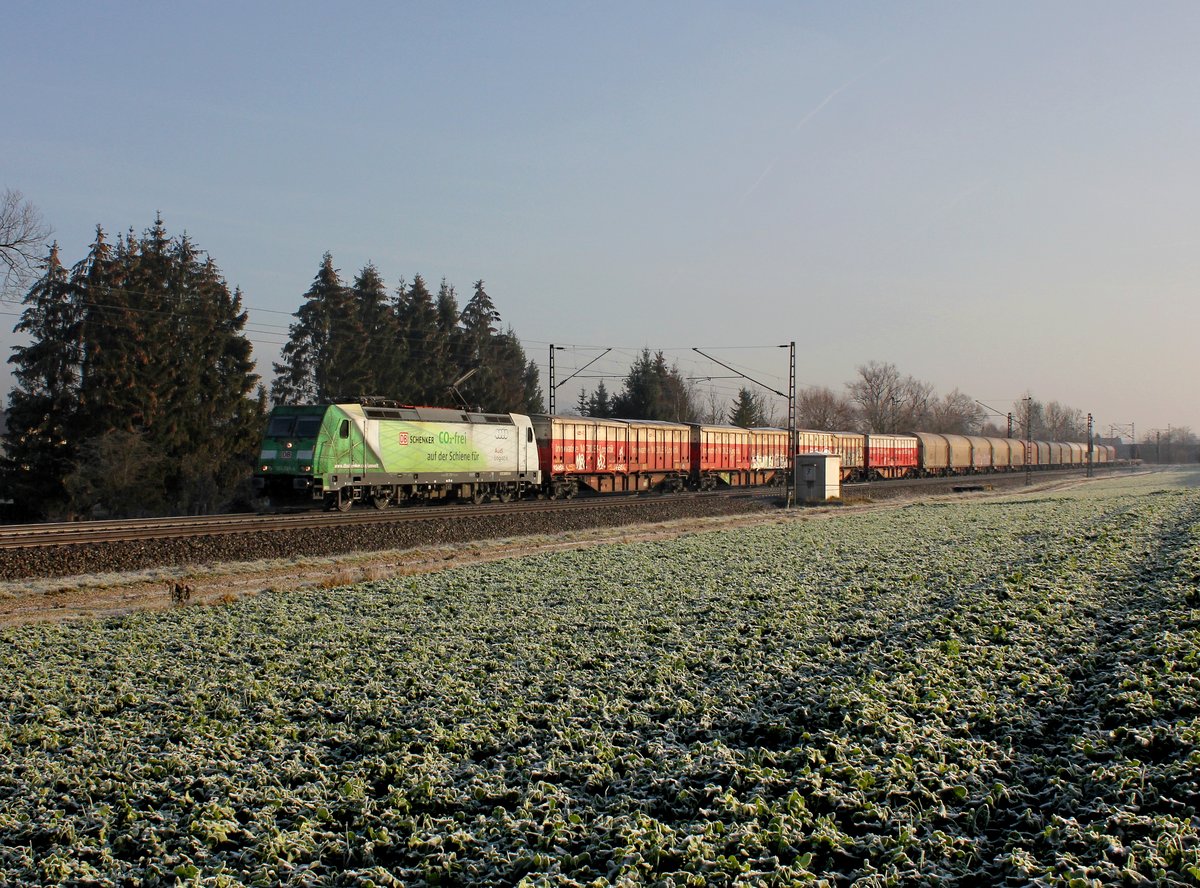 Die 185 389 mit einem Güterzug am 28.12.2015 unterwegs bei Langenisarhofen.