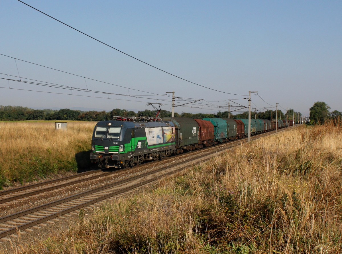 Die 193 207 mit einem Güterzug am 01.09.2015 unterwegs bei Gramatneusiedl.
