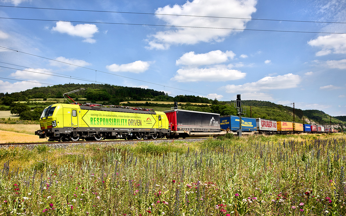 Die 193 553 fährt mit einem KLV Zug am 13.6.2017 bei Karlstadt vorbei.