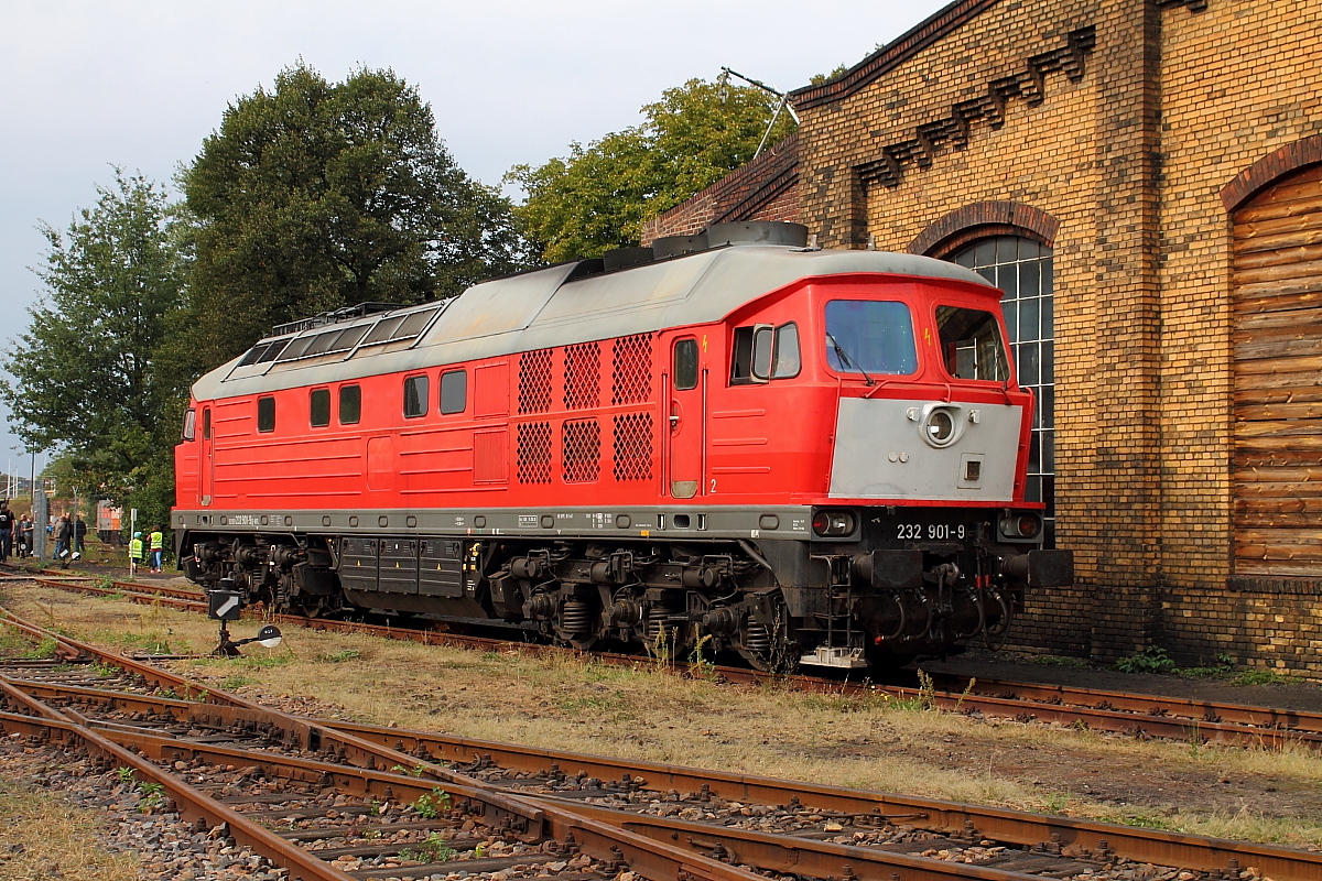 Die 232 901-9 der WFL zu Gast beim 13. Eisenbahnfest in Berlin-Schöneweide am 17.09.2016.
Die Maschine wurde 1974 in der Lokomotivfabrik Oktober-Revolution, Woroschilowgrad unter der Fabriknummer 0262 gefertigt.
