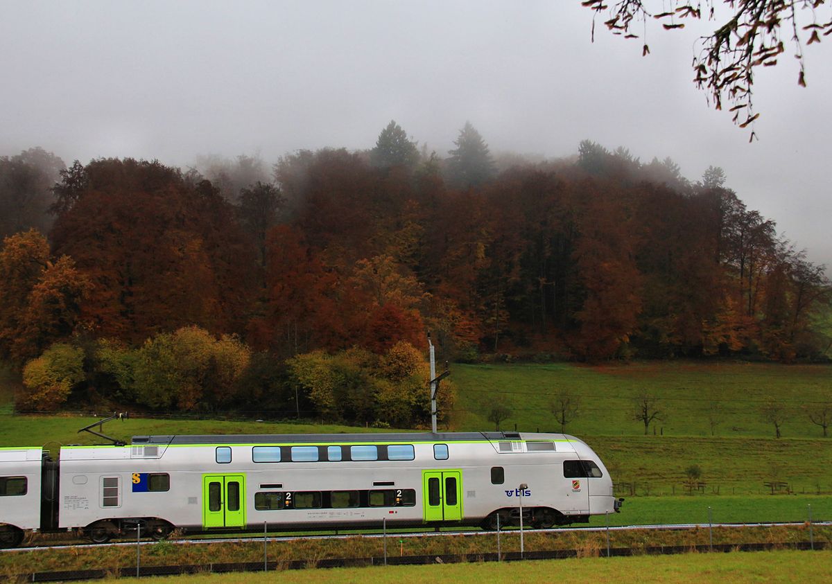 Die 28 BLS  Mutz -Züge verkehren seit 2012 auf der S-Bahn Bern.  Mutz  verweist eigentlich auf  Moderner Universeller Triebzug , doch versteht jeder Berner unter  Mutz  das Berner Wappentier (der Bär), der im Dialekt  Mutz  heisst. Im Bild ist Zug 515 001 (mit dem Berner Wappen) bei Wabern unterwegs, 5.November 2016.  