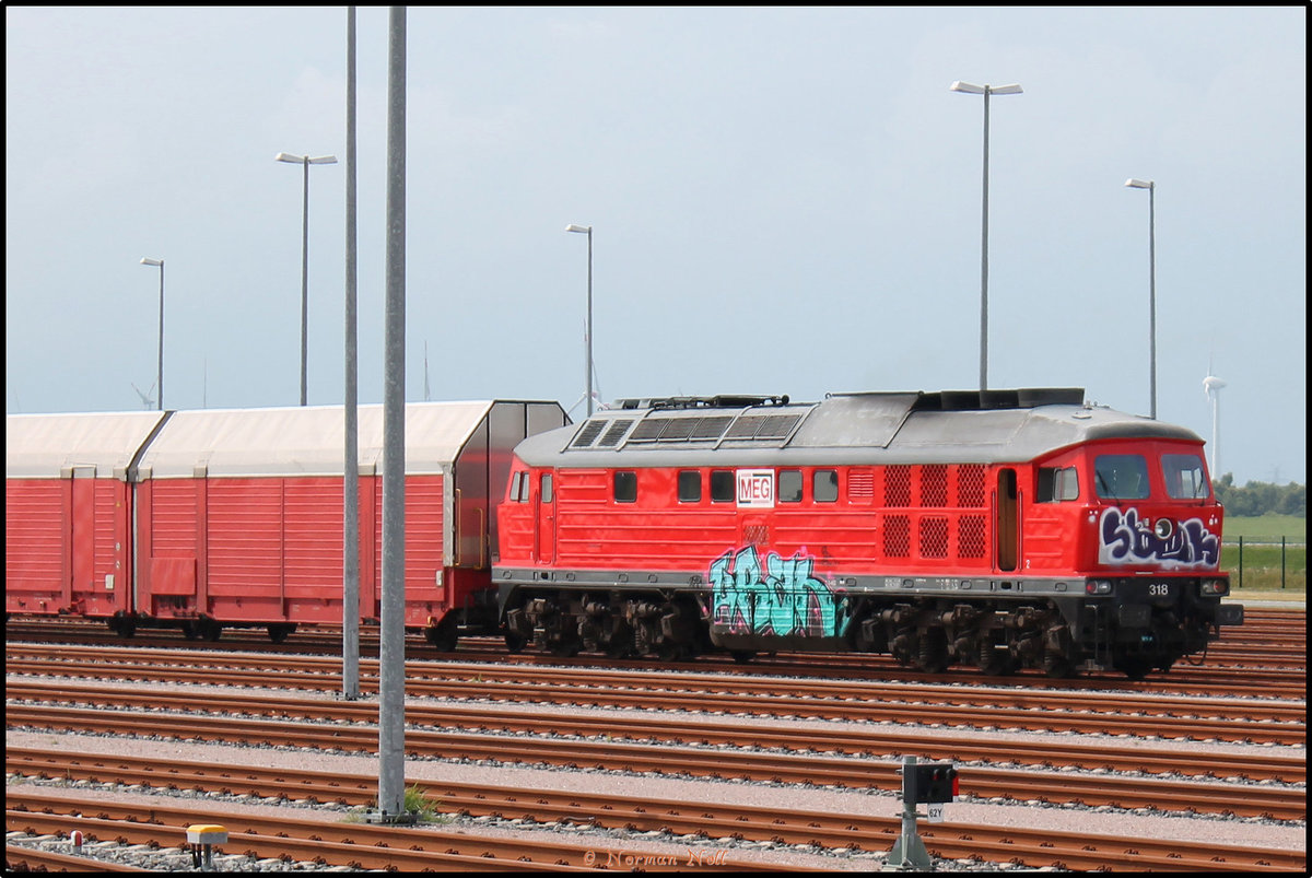 Die 318 der MEG hat soeben ein Leerzug mit Hccrrs Wagen der ATG (jetzt DB-Schenker Rail Automotive GmbH) zum Jade-Weser-Port gebracht. 29/07/2016 Wilhelmshaven