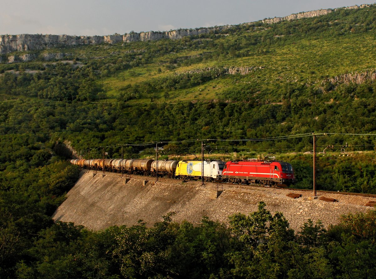 Die 541 103 und die 541 104 mit einem Kesselzug am 25.06.2016 unterwegs bei Hrastovlje.