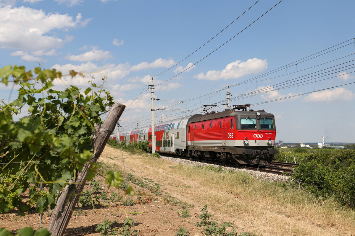 Die auf einer Seite nach Unfallschaden neu Ausgebesserte 1144.077 fährt mit R-1957 bei Pfaffstätten am 5.7.17