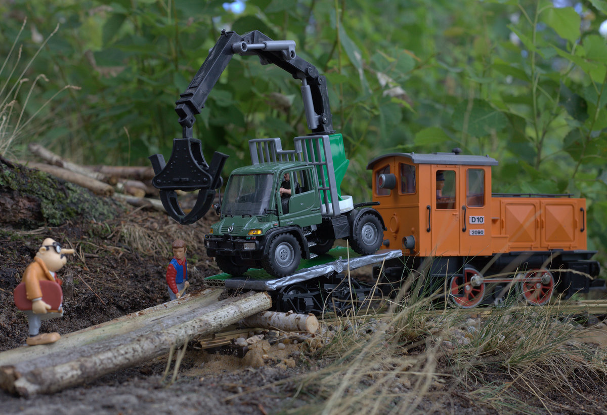 Die Bahn am Senftenberger See soll erweitert werden sie verläuft durch relativ unwegsames, ehmalige Bergwerksgelände, dehalb erfolgt der Steckenvortrieb mit per Zug.Ein Unimog mit Bagger/Kran wird gerade eben abgeladen.Willy Jespersen überwacht das Abladen persönlich.Seestarnd Niemtsch, 01.07.2018  11:44 Uhr.