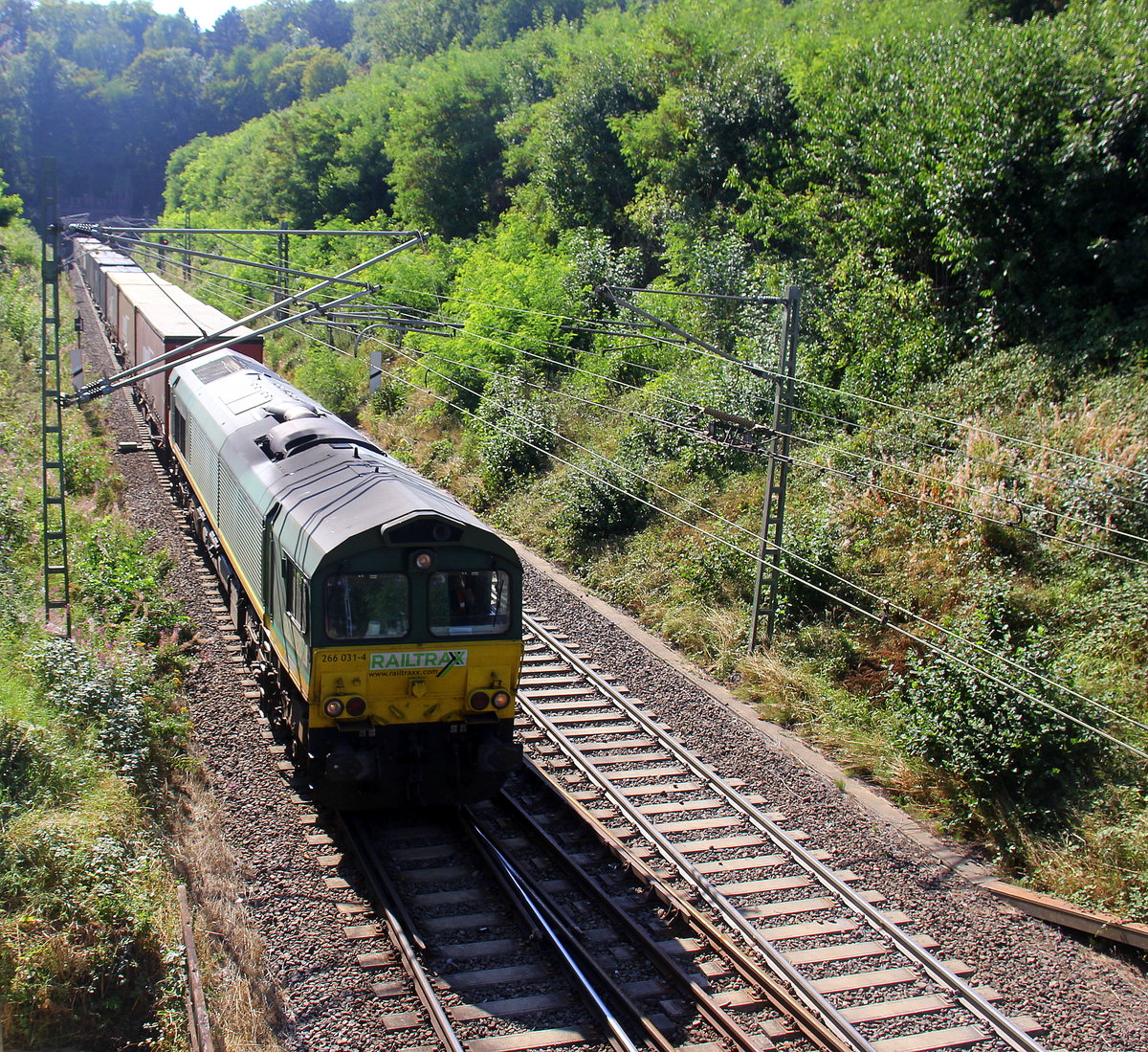 Die Class 66 266 031-4 von Railtraxx kommt aus dem Gemmenicher-Tunnel raus mit einem Containerzug aus Genk-Haven(B) nach Köln-Eifeltor(D) und fährt nach Aachen-West und rollt die Gemmenicher-Rampe herunter nach Aachen-West. Aufgenommen in Reinartzkehl auf der Montzenroute. Bei Sommerwetter am Nachmittag vom 19.8.2018.