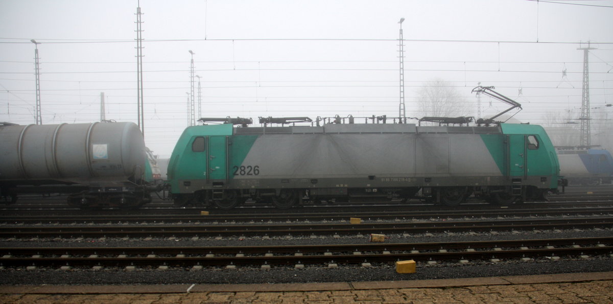 Die Cobra 2826 steht in Aachen-West mit einem langen Kesselzug aus Ludwigshafen-BASF nach Antwerpen-BASF(B) und wartet auf die Abfahrt nach Belgien. 
Aufgenommen vom Bahnsteig in Aachen-West. 
Bei Nebel am Kalten Mittag vom 8.1.2017.