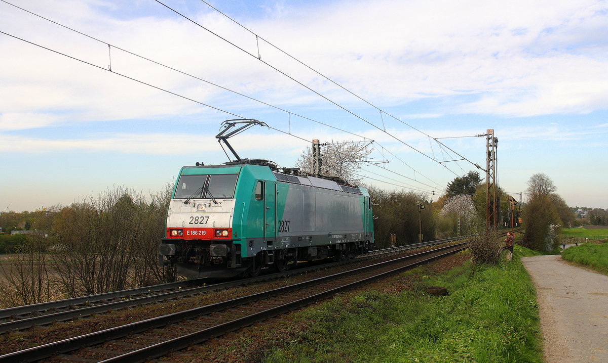 Die Cobra 2827 kommt als Lokzug von Aachen-West nach Belgien und fährt die Gemmenicher-Rampe hoch. 
Aufgenommen an der Montzenroute am Gemmenicher-Weg.  
Bei schönem Frühlingswetter am Nachmittag vom 21.4.2016.