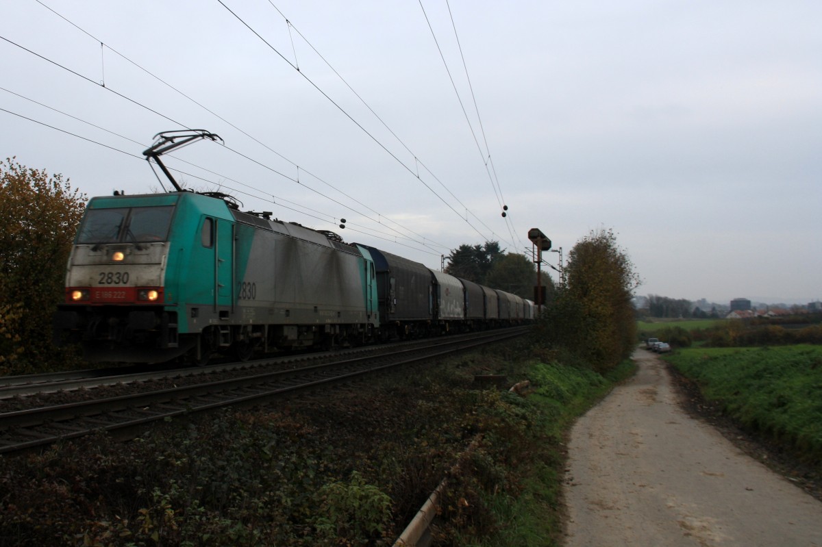 Die Cobra 2830 kommt aus Richtung Aachen-West und fhrt die Gemmenicher-Rampe hochgefahren mit einem Kurzen Coilzug aus Linz-Voestalpine(A) nach Gent-Zeehaven(B). Aufgenommen an der Montzenroute am Gemmenicher-Weg bei Wolken am Nachtmittag vom 17.11.2013.