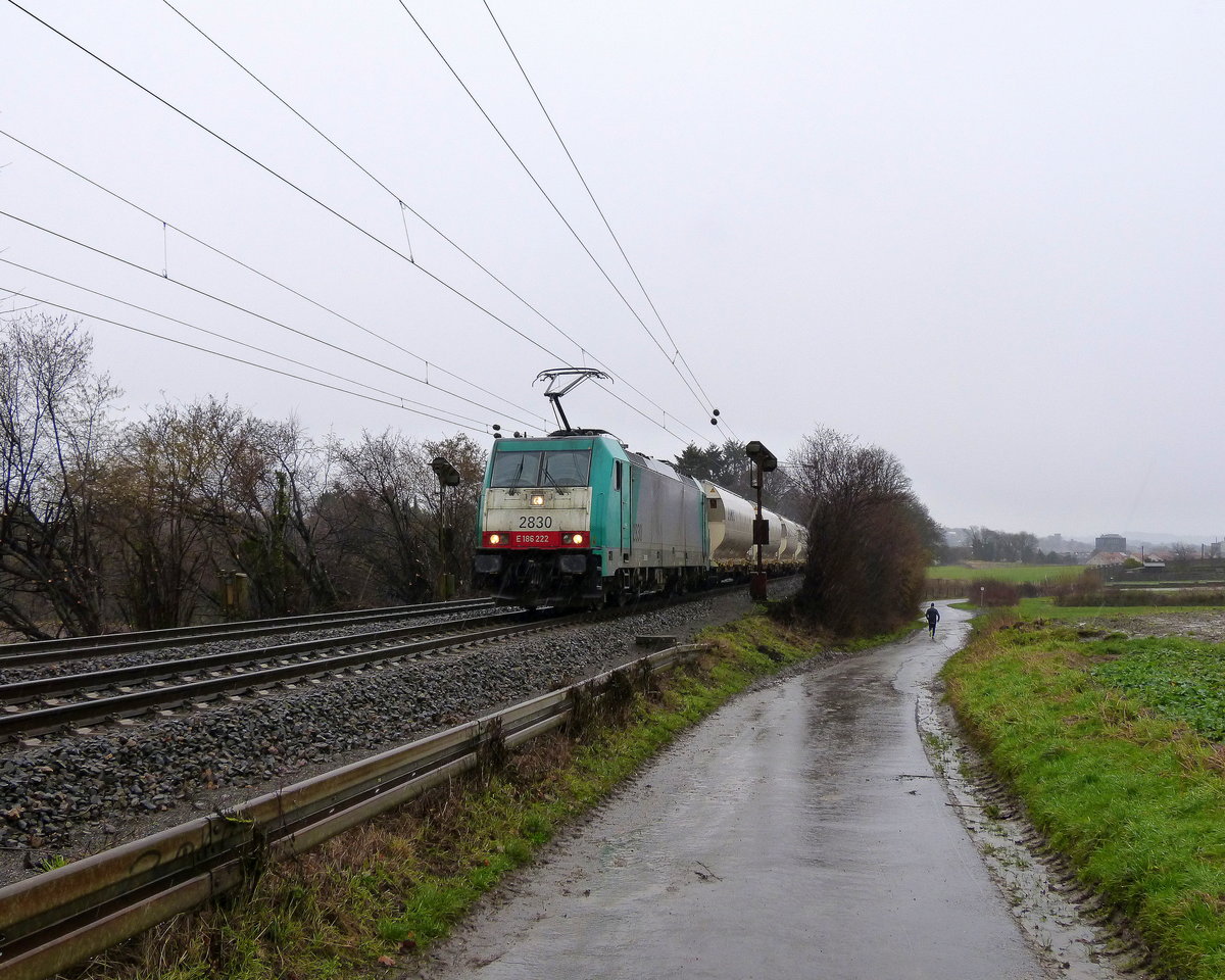 Die Cobra 2830 kommt die Gemmenicher-Rampe auf dem falschen Gleis hochgefahren aus Richtung Aachen-West mit einem  schweren Zuckerzug aus Wabern(D) nach Antwerpen-Lillo(B) und fährt in Richtung Montzen/Belgien und am Zugende ist die 185 203-7 DB und sie schiebt als Schubhilfe von Aachen-West zum Gemmenicher-Tunnel.
Aufgenommen an der Montzenroute am Gemmenicher-Weg. 
Bei Schneeregen am Kalten Mittag vom 20.1.2018.