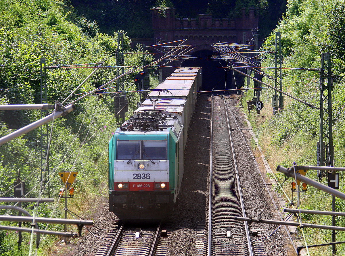 Die Cobra 2836 kommt aus dem Gemmenicher-Tunnel raus mit einem Containerzug aus Genk-Zuid-Haven(B) nach Novara(I) und fährt nach Aachen-West und rollt die Gemmenicher-Rampe herunter nach Aachen-West. 
Aufgenommen in Reinartzkehl auf der Montzenroute. 
Bei Sommerwetter am Nachmittag vom 19.7.2016.