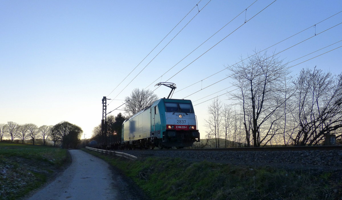 Die Cobra 2837  kommt die Gemmenicher-Rampe herunter nach Aachen-West mit einem Güterzug aus
Antwerpen-Noord(B) nach Köln-Gremberg(D). 
Aufgenommen an der Montzenroute am Gemmenicher-Weg.
In der Abendstimmung vom 5.2.2018.