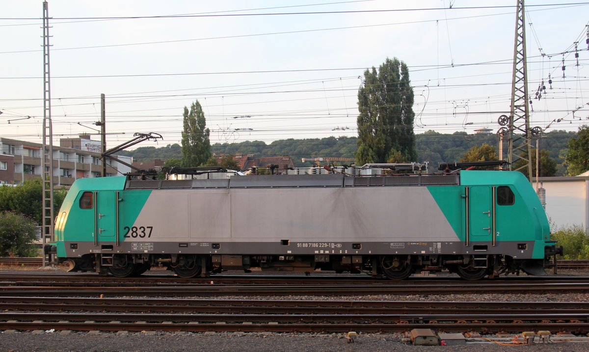 Die Cobra 2837 rangiert in Aachen-West. 
Aufgenommen vom Bahnsteig in Aachen-West. 
In der Abendstimmung am Abend vom 6.7.2018.