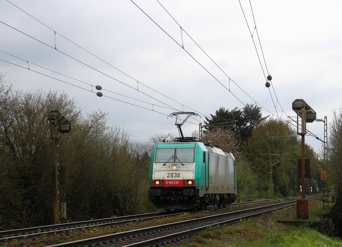 Die Cobra 2838 kommt als Lokzug von Aachen-West nach Belgien und fährt die Gemmenicher-Rampe hoch. Aufgenommen an der Montzenroute am Gemmenicher-Weg.
Bei Regenwetter am Nachmittag vom 30.4.2016.