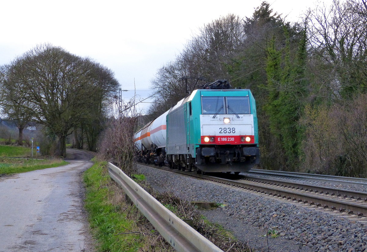 Die Cobra 2838  kommt die Gemmenicher-Rampe herunter nach Aachen-West mit einem Güterzug aus Antwerpen-Noord(B) nach Köln-Gremberg(D). 
Aufgenommen an der Montzenroute am Gemmenicher-Weg. 
Am Nachmittag vom 23.1.2018.
