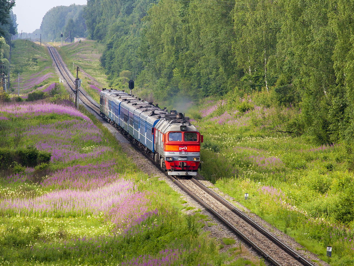 Die Diesellok 2M62U-0007 folgte mit einem Personenzug auf Eisenbahnlinie  Brjansk - Wjasma unweit von Wjasma-Brjanskaja Bahnhof am 9 Juli 2016