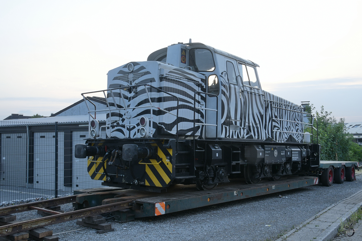 Die Diesellokomotive Krauss Maffei M 700 C (WLH Lok 71) im Juni 2017 auf einem Schwerlastanhänger, so gesehen in Hattingen.