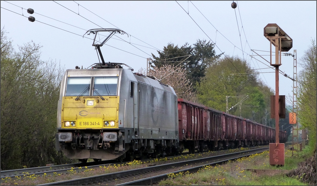 Die E 186 341-4 der Euro Cargo Rail kommt mit einen Eaos Ganzzug am Haken die Rampe hinauf zum Gemmenicher Tunnel. Hier zu sehen unweit von Aachen auf der Montzenroute am 02.Mai 2016.